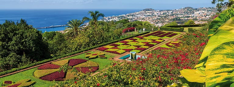 The botanical gardens in Funchal, Madeira